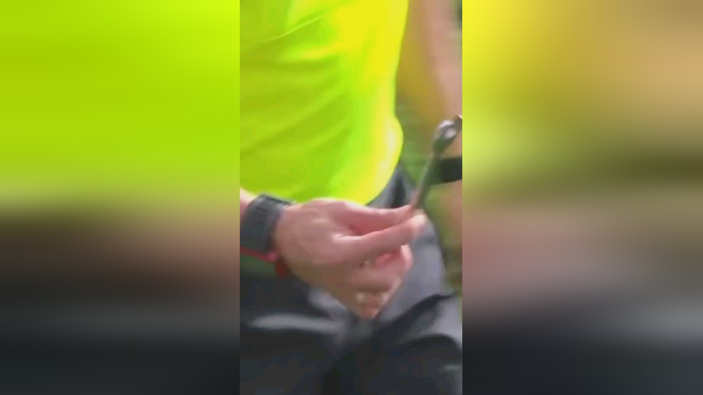 弃这背